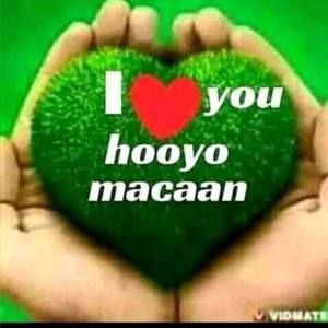 Meet your Posher, Abdullahi